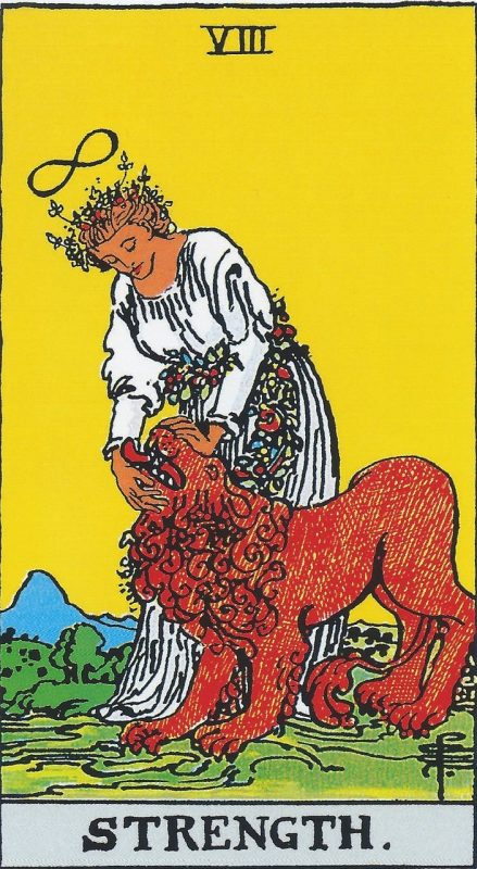 The Strength Tarot Card