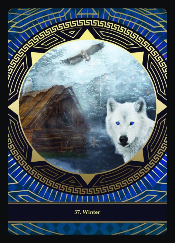 Become more positive with Oracle Cards