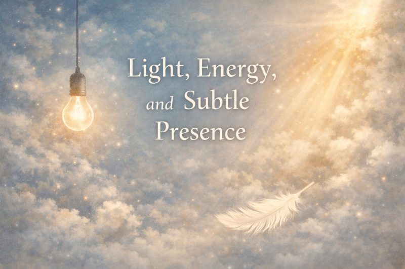 signs from lost loved ones