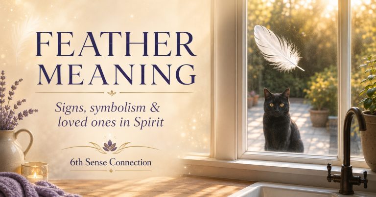 White feather on a kitchen window with a black cat outside, symbolising spiritual signs and messages from loved ones in Spirit